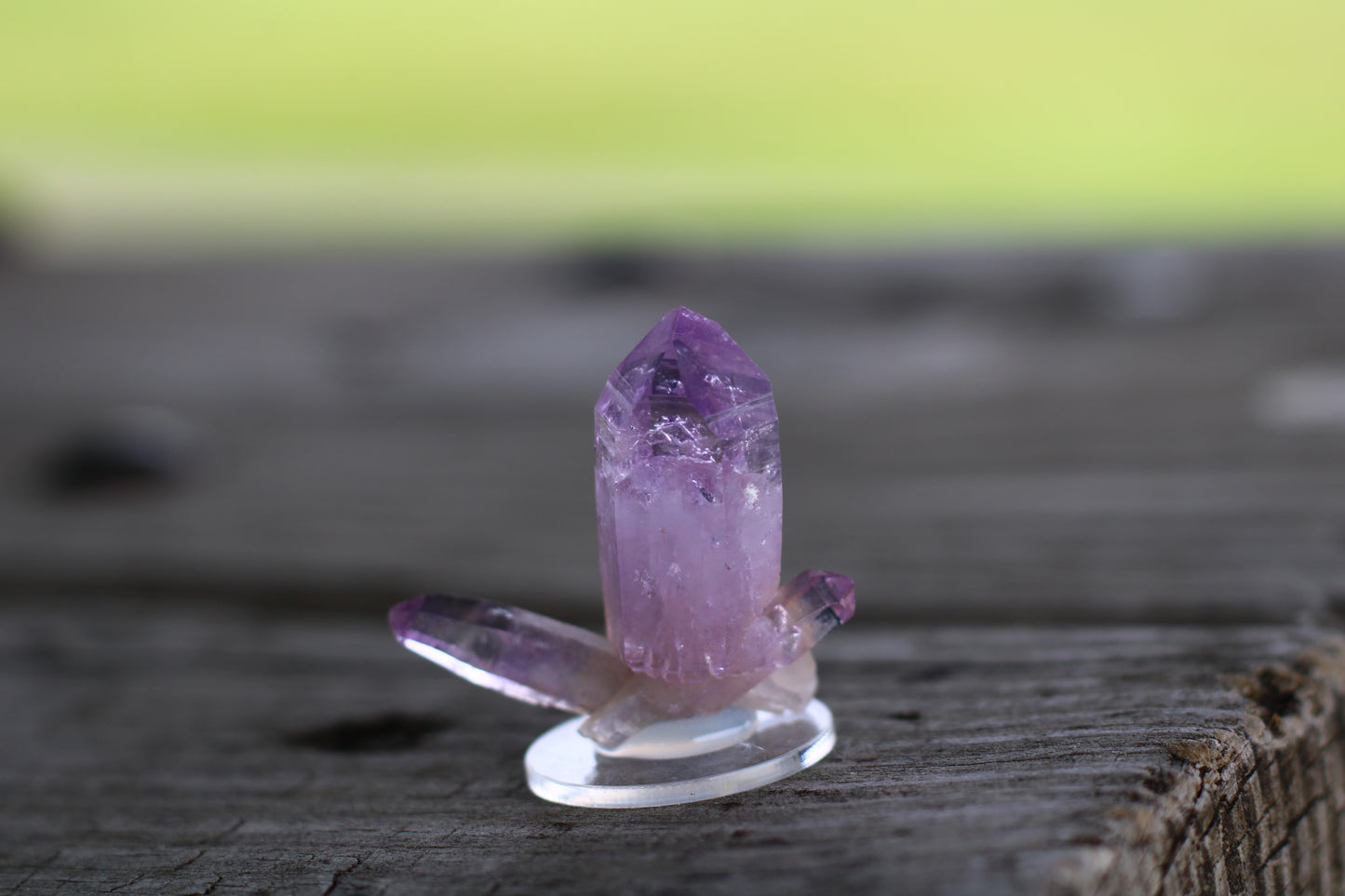 Amethyst Veracruz