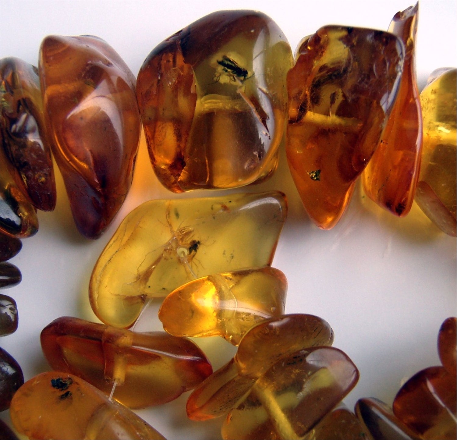 Amber from Chiapas Mexico